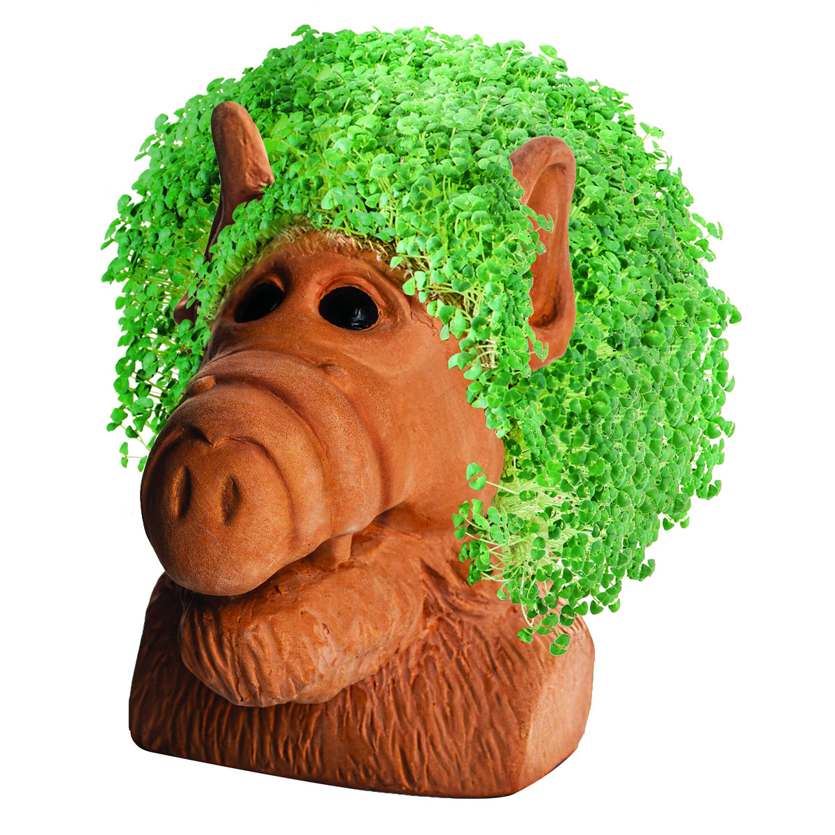 Chia Alf planter with plastic drip tray for tidy watering
