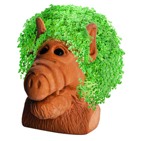 Chia Alf planter with plastic drip tray for tidy watering