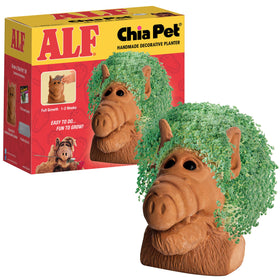 Chia Alf seed-pack in decorative terracotta planter for easy growing