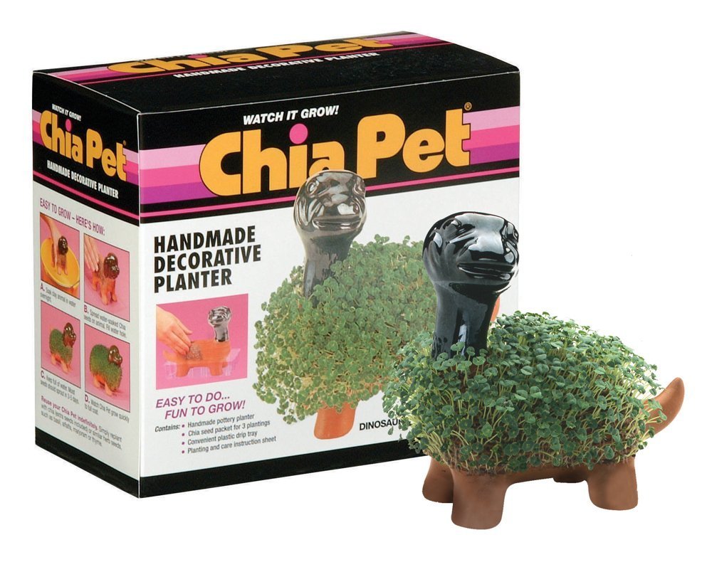 Chia Dinosaur Pet planter with seed pack, easy to grow decorative gift.