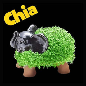 Chia Pet Elephant care guide: simple steps to wash and replant.