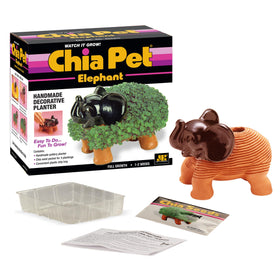 Chia Pet Elephant growth stage: watch sprouts form in 1-2 weeks.