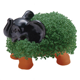 Chia Pet Elephant pottery planter: adorable home decor that grows a lush green coat.