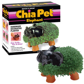 Chia Pet Elephant seed-pack: easy start for a fun, fast-growing chia project.