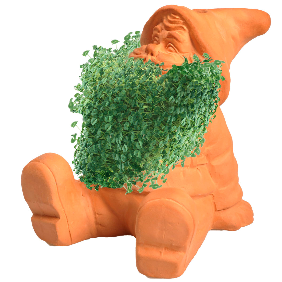 Chia Gnome display-ready package showcases the gift-ready planter.