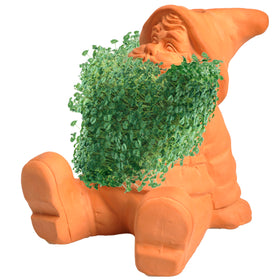 Chia Gnome display-ready package showcases the gift-ready planter.