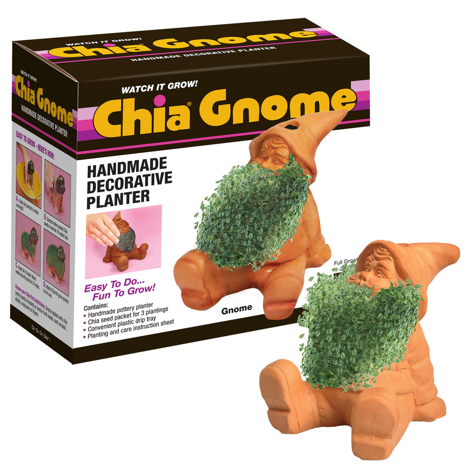 Chia Gnome planter with seed pack ready to grow a playful green coat on your shelf.
