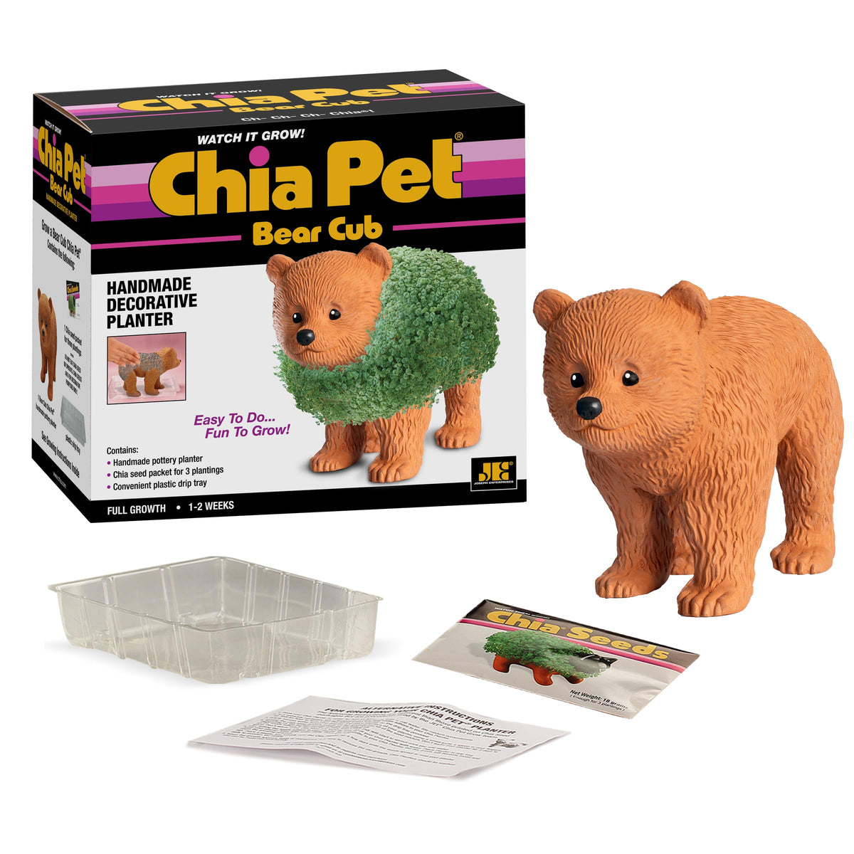 Chia Pet Bear Cub decorative planter ready for gifting