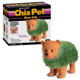 Chia Pet Bear Cub planter front view with seed pack for easy growth