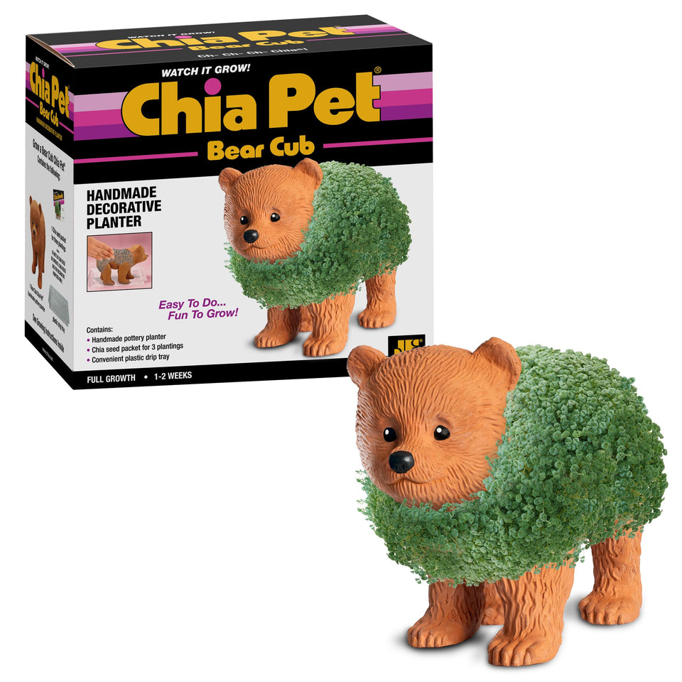 Chia Pet Bear Cub planter front view with seed pack for easy growth