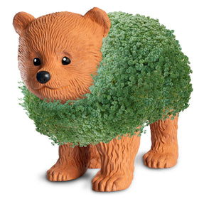 Chia Pet Bear Cub with seed pack included—fun gift idea