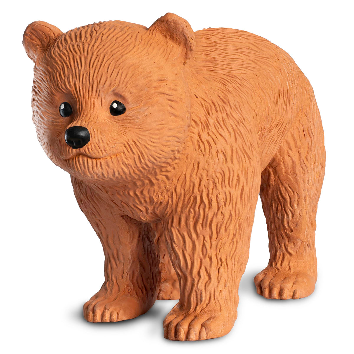 Chia Pet Bear Cub growth close-up showing green sprouts