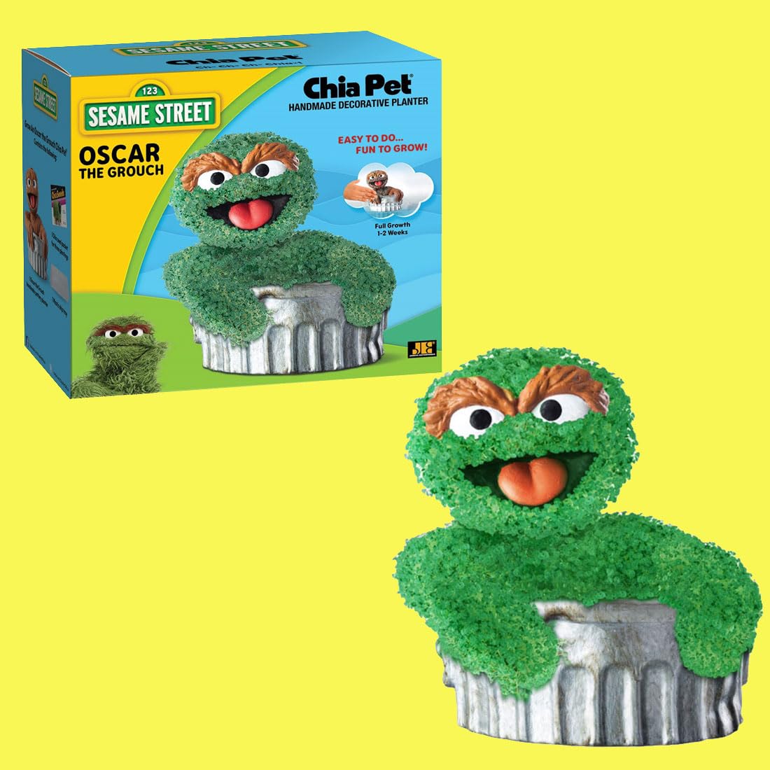 Chia Pet Oscar growth in 1-2 weeks with coat.