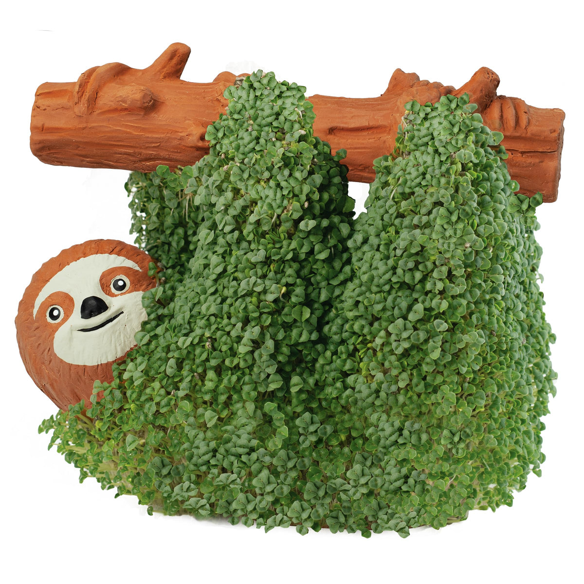 Chia Pet Sloth with drip tray keeps care neat and tidy.