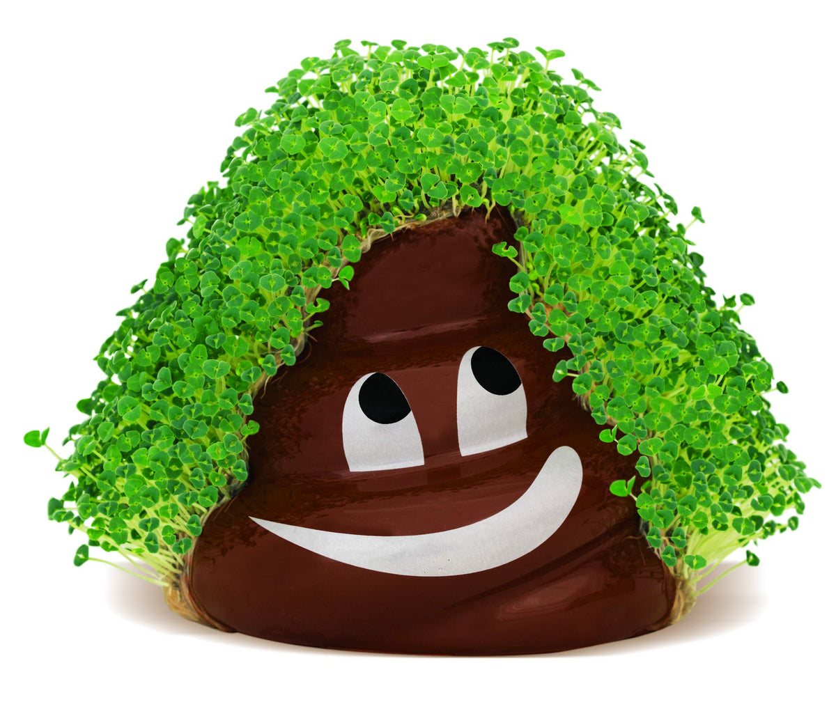 Chia seed packet for Poopy Emoji Chia Pet enabling three plantings