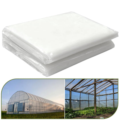 Chicarry 6mil greenhouse film full sheet offers durable coverage with clear visibility.