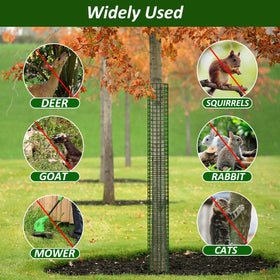 Chicarry deer and rodent protection supports healthy sapling growth.