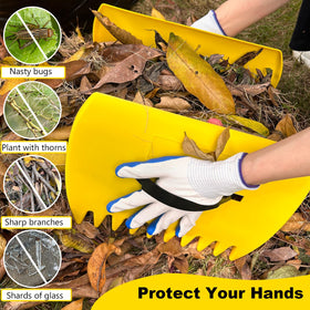 Chicarry ergonomic adjustable-handle design fits different users.