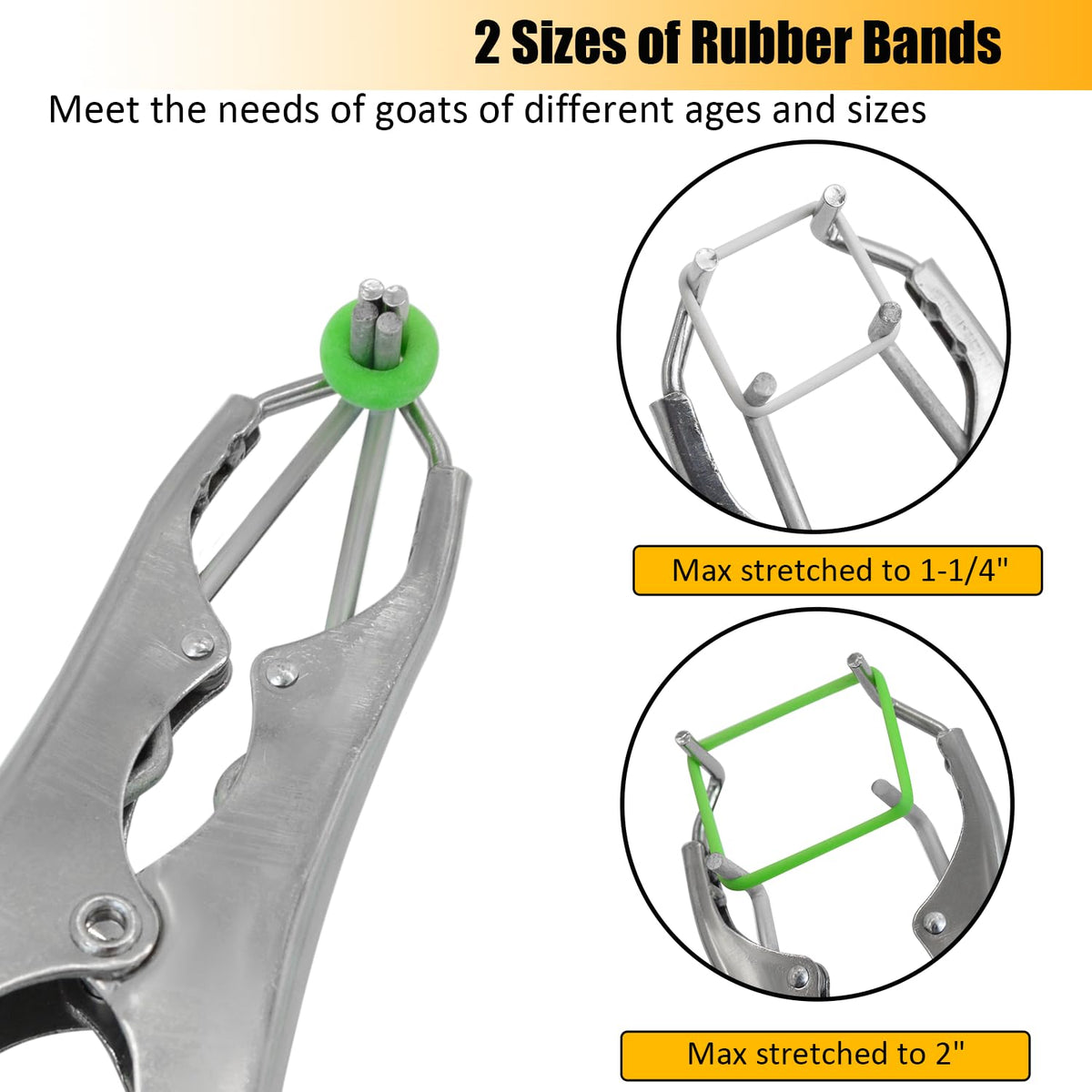 Chicarry small white rubber rings for tight, adjustable fit