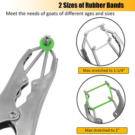 Chicarry small white rubber rings for tight, adjustable fit