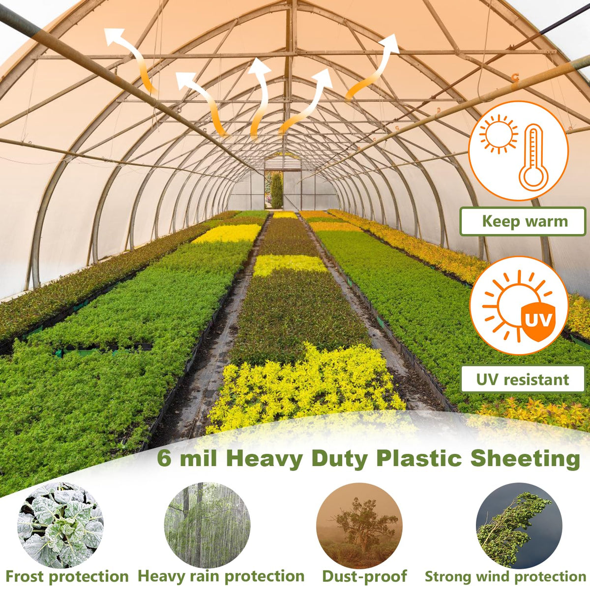 Chicarry greenhouse film in sunlit setting demonstrates high light transmittance