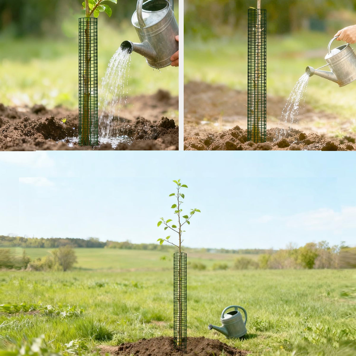 Chicarry stackable expandable guards adapting to different trunk sizes