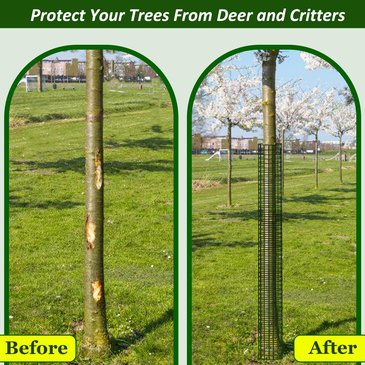 Chicarry expandable 48-inch tall guards adapt to growing trees.
