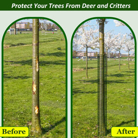 Chicarry expandable 48-inch tall guards adapt to growing trees.