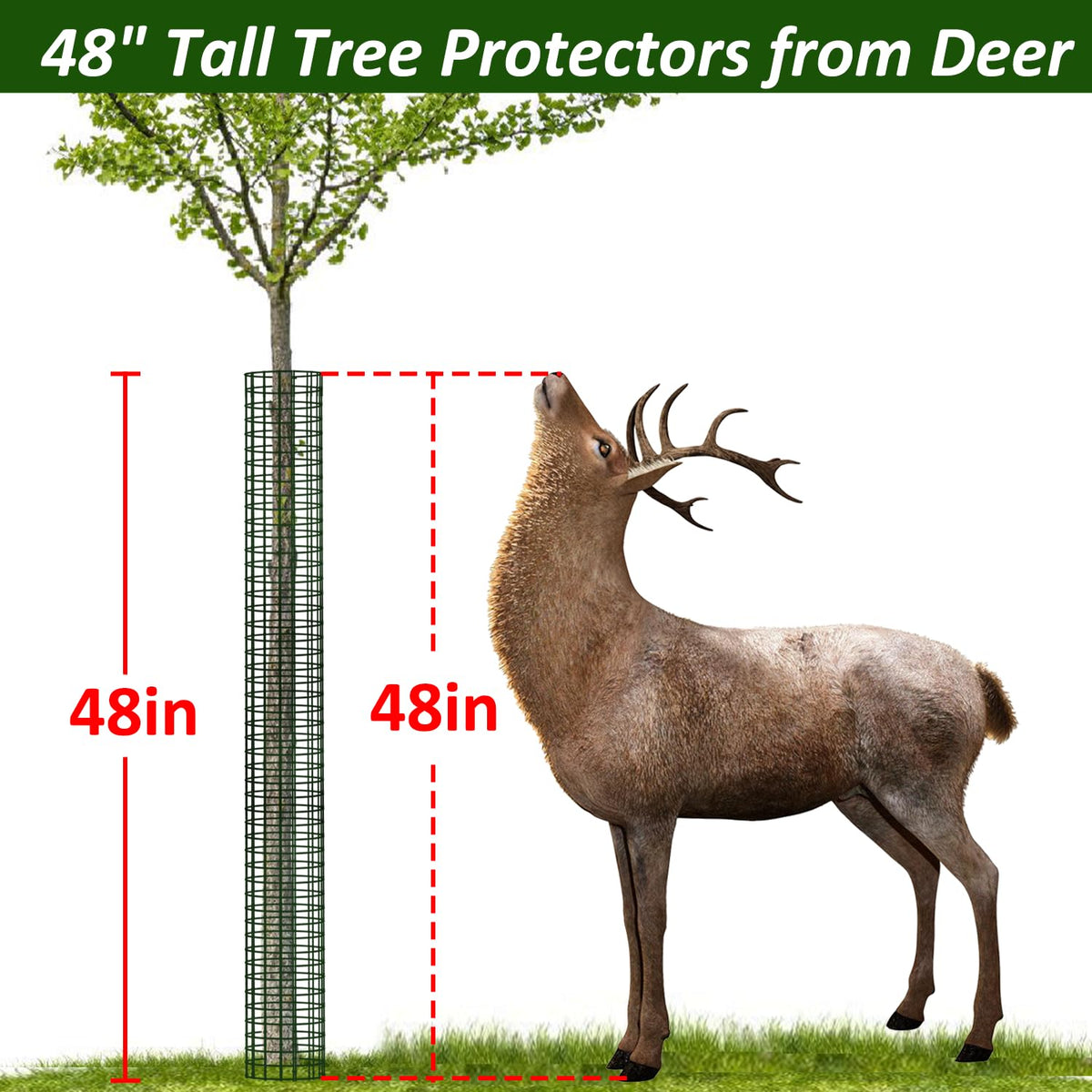 Chicarry mesh tree protector with vinyl coating resists rust and wear.
