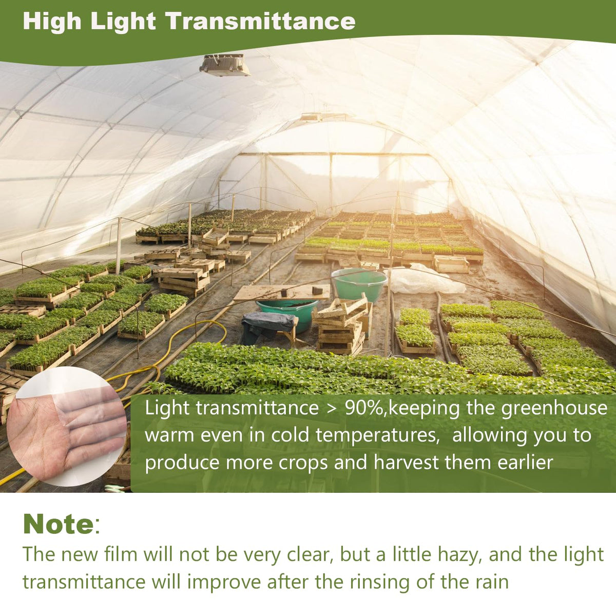 Chicarry UV-resistant greenhouse film protects plants under bright sun
