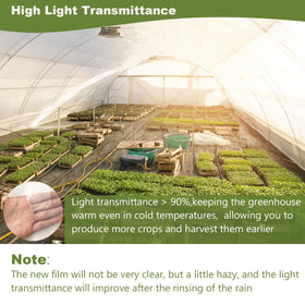Chicarry UV-resistant greenhouse film protects plants under bright sun