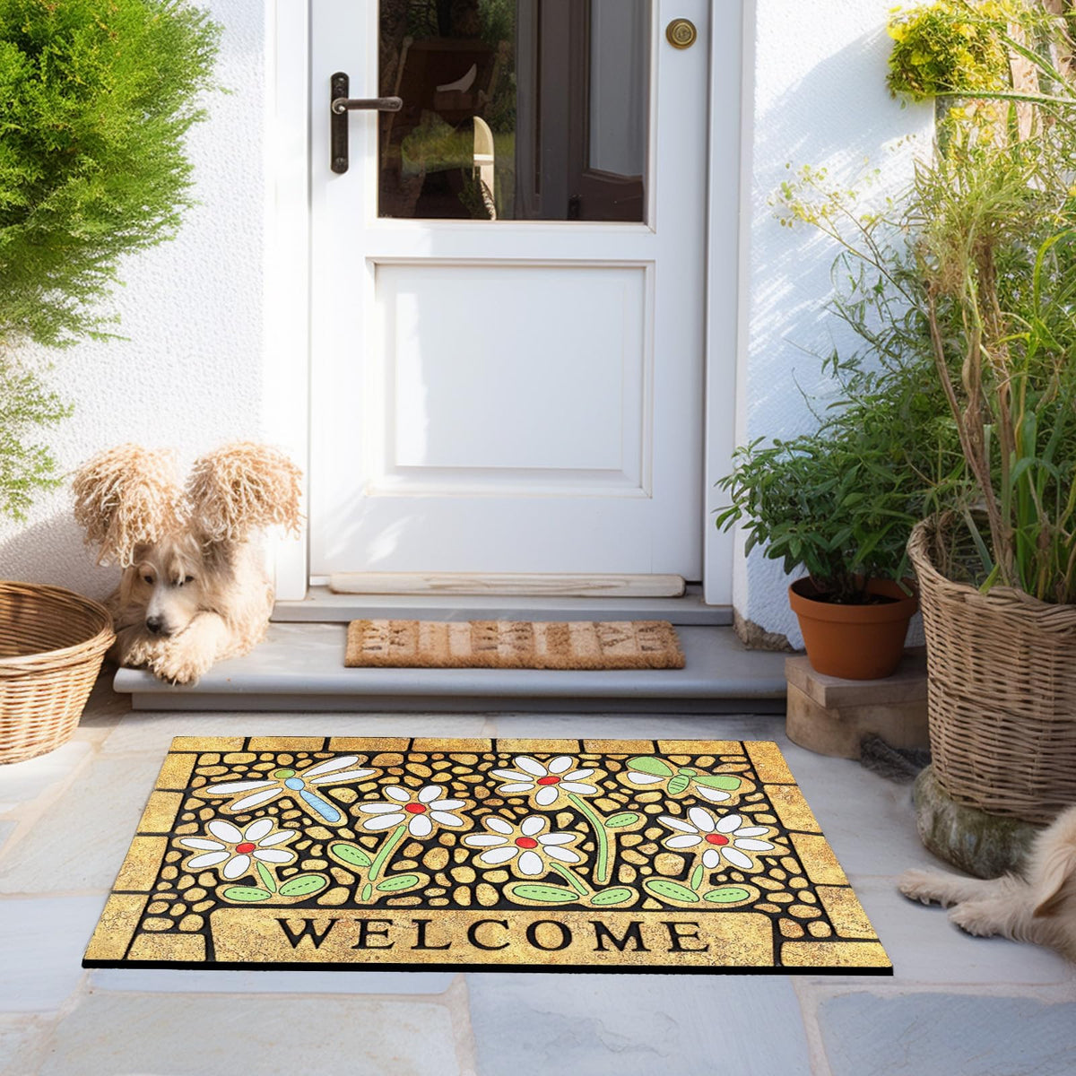 CHICHIC pet-friendly mat provides a cozy spot at the entrance