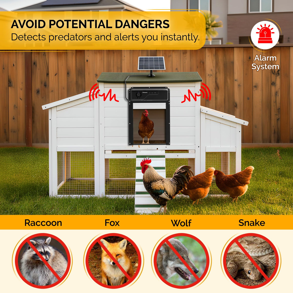 Chickaura 1080P camera on the coop door provides crystal night vision.