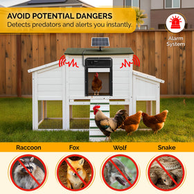 Chickaura 1080P camera on the coop door provides crystal night vision.