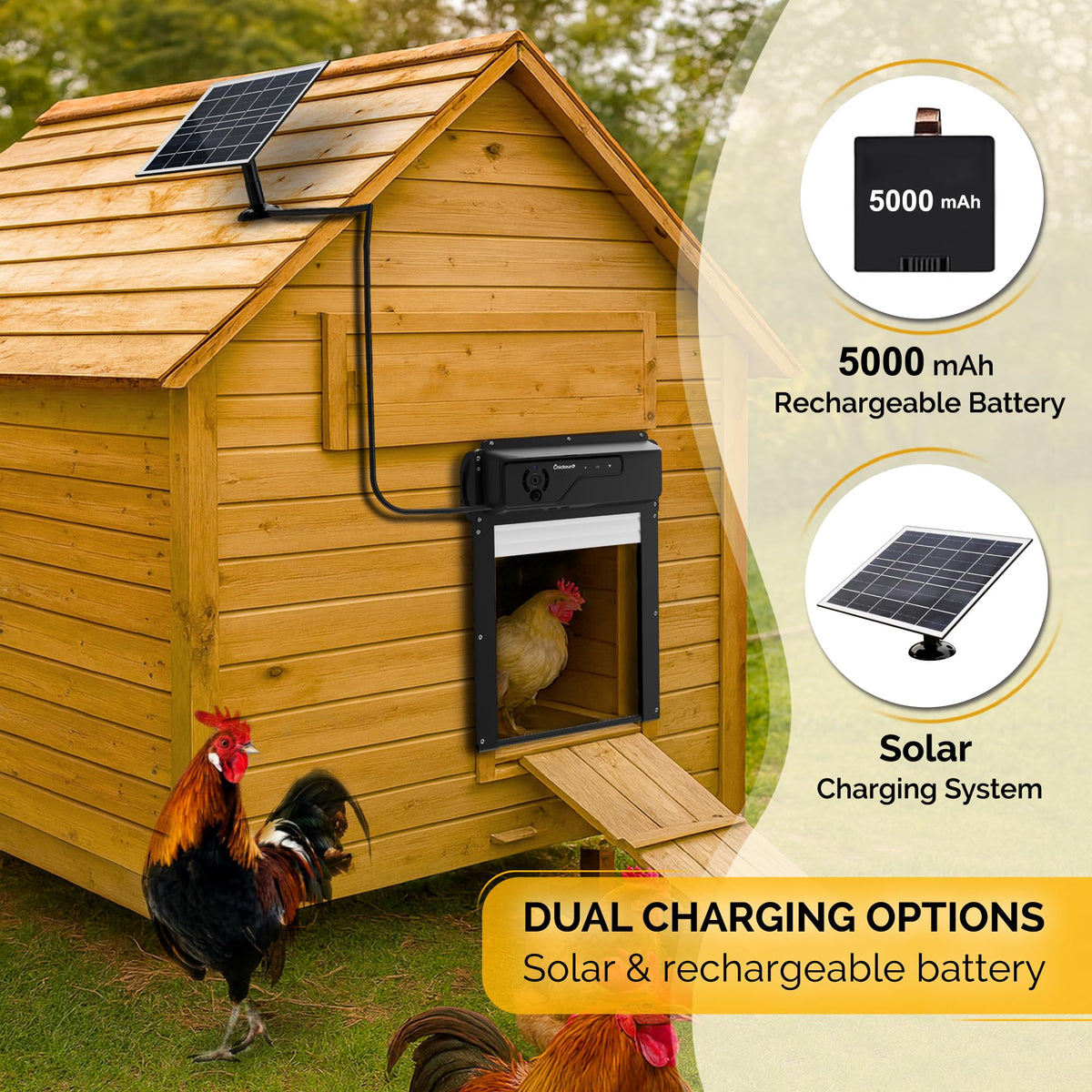 Chickaura 5000mah battery plus solar panel ensure dependable power.