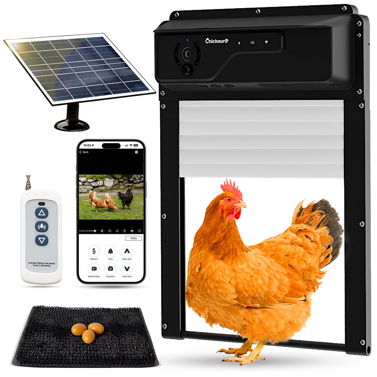 Chickaura automatic coop door with solar panel enables reliable day and night operation.