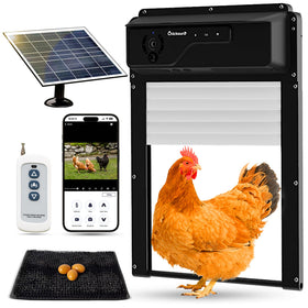 Chickaura automatic coop door with solar panel enables reliable day and night operation.