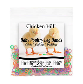 Chicken Hill baby leg bands quarter-inch, soft stretch, easy on/off for chick identification.
