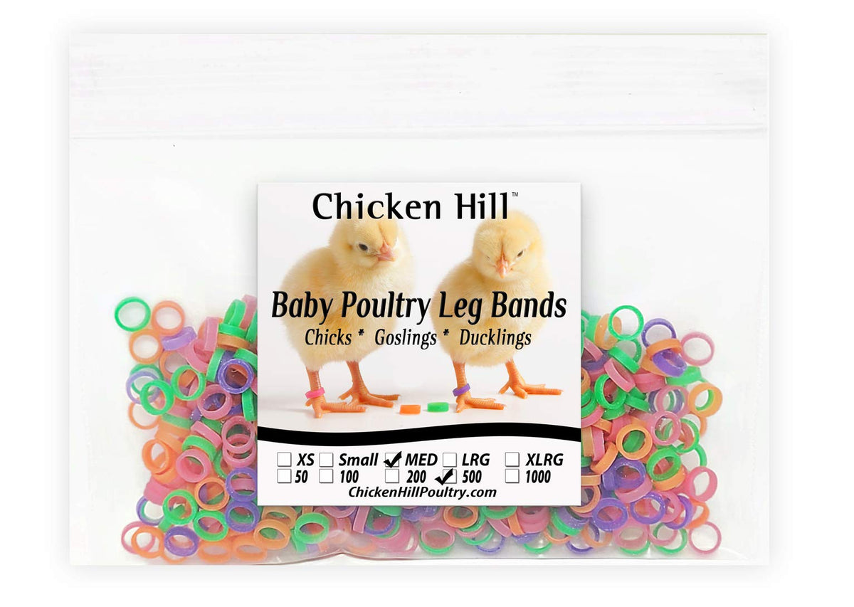 Chicken Hill baby poultry leg bands in one-quarter inch for medium chicks, durable identification.