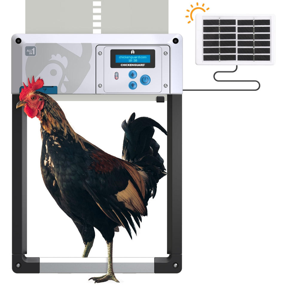 ChickenGuard One coop door in action delivering hands-free access for your flock