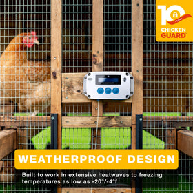 ChickenGuard self-locking door mechanism in action deters predators.