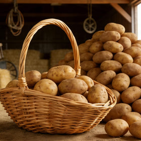 Chilsoby wicker basket shown in garden use for harvest collection.