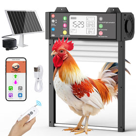 Chipetty automatic chicken door open state enables effortless flock access.