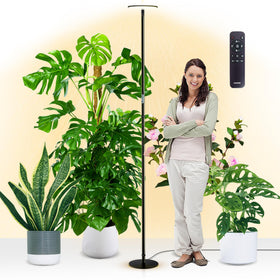Chiphy 85-inch tall grow light pole illuminates tall indoor plants evenly