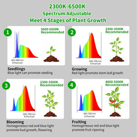 Chiphy height-adjustable pole supports tall plants from 22 to 85 inches