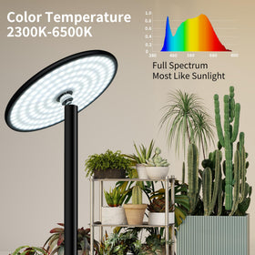 Chiphy remote with timer enables customizable light cycles for plants