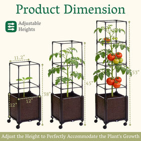 Chirpartti self-watering planter keeps roots evenly moist.