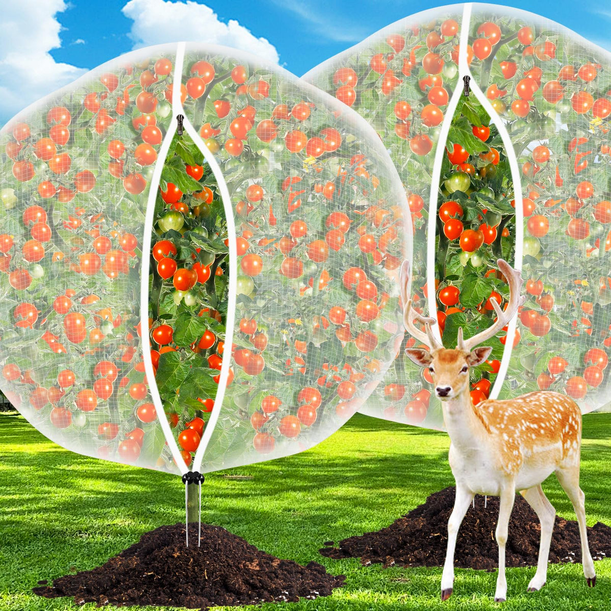 CHNENOMME 6ft fruit tree netting with zipper protects fruit trees from pests and birds.