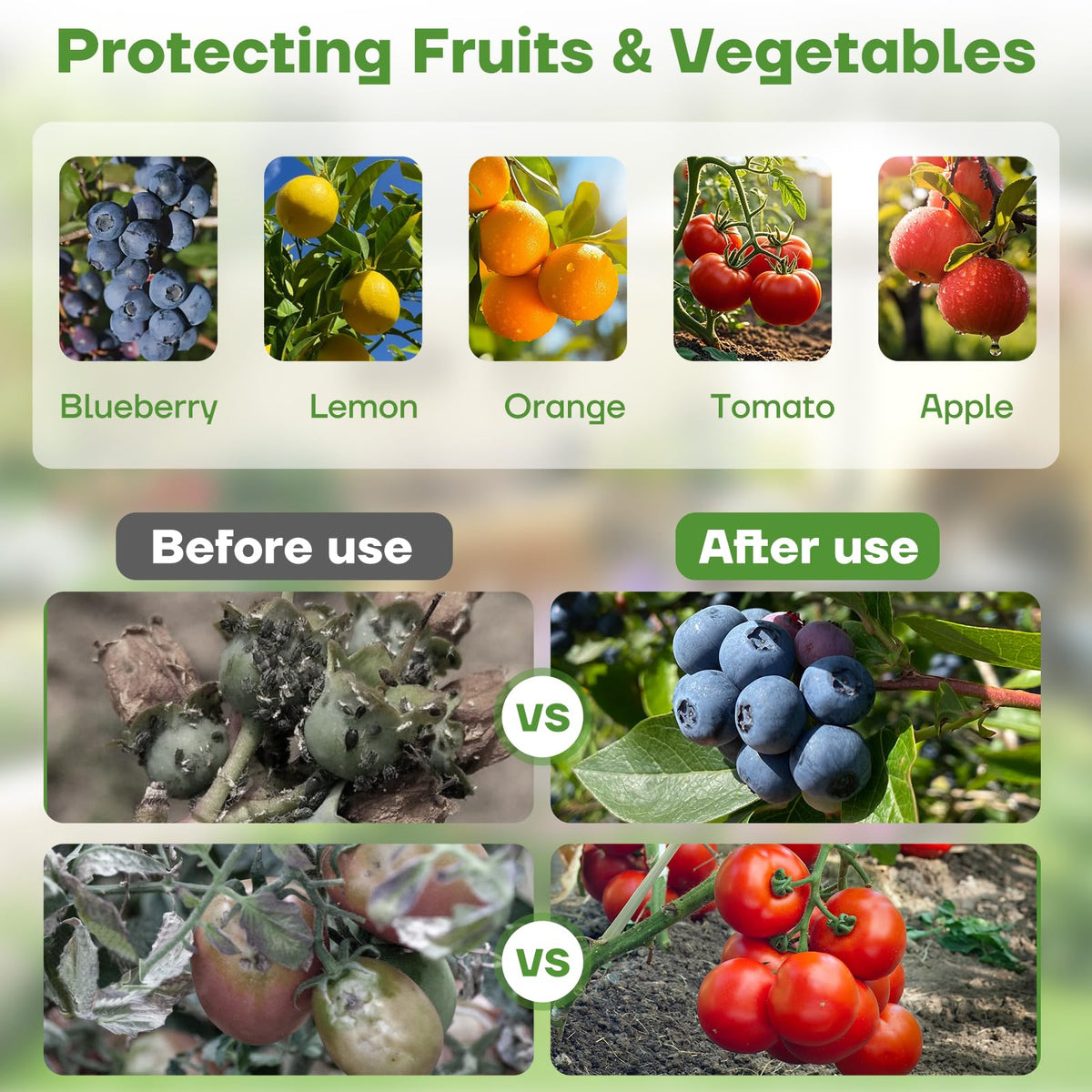 CHNENOMME pest barrier mesh protects blueberries while allowing sunlight and ventilation.