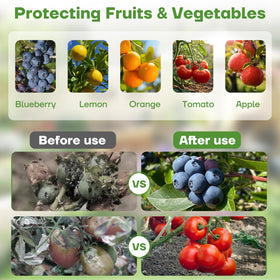 CHNENOMME pest barrier mesh protects blueberries while allowing sunlight and ventilation.